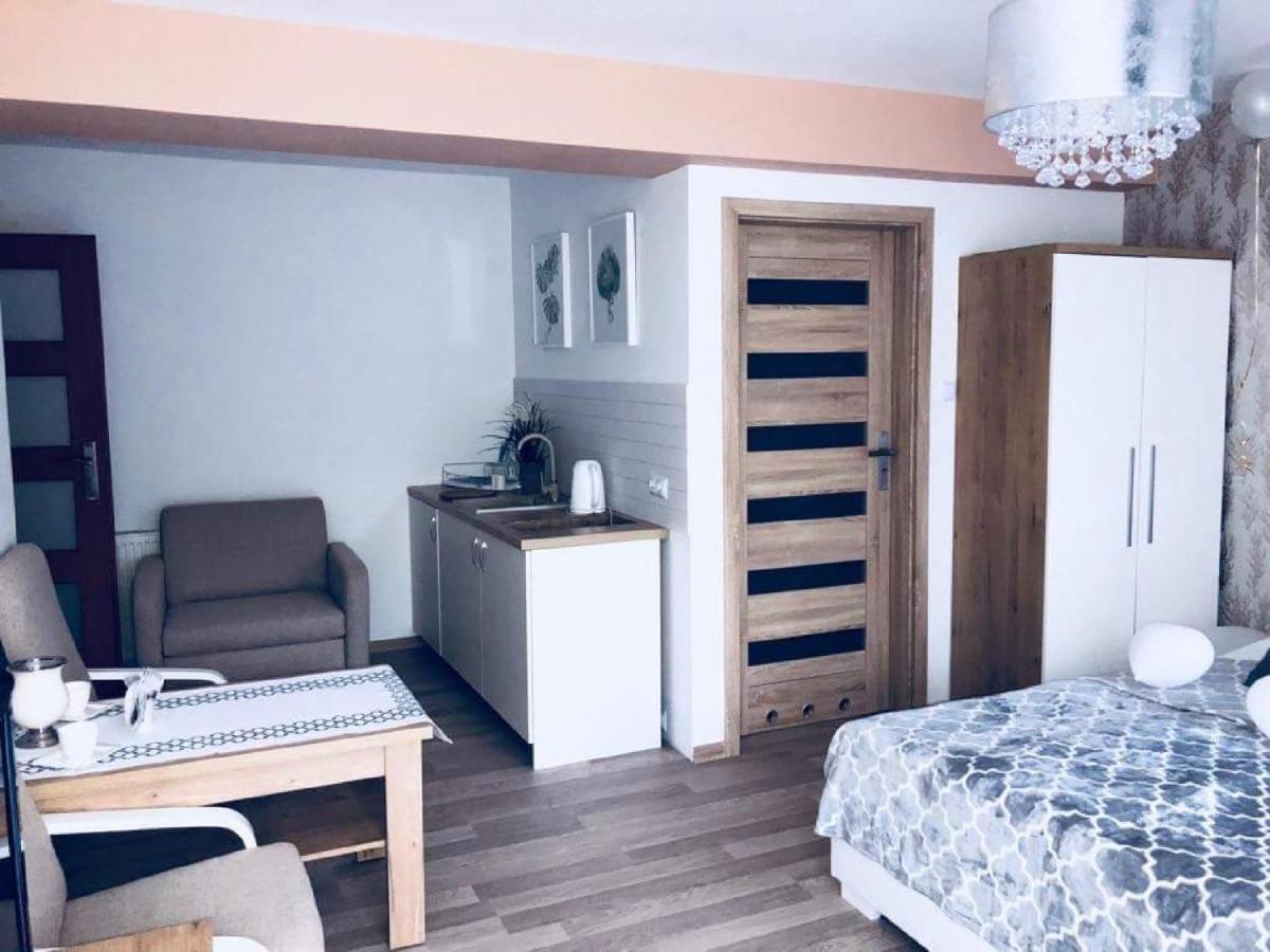 Willa & Spa Odnova Naleczow Bagian luar foto
